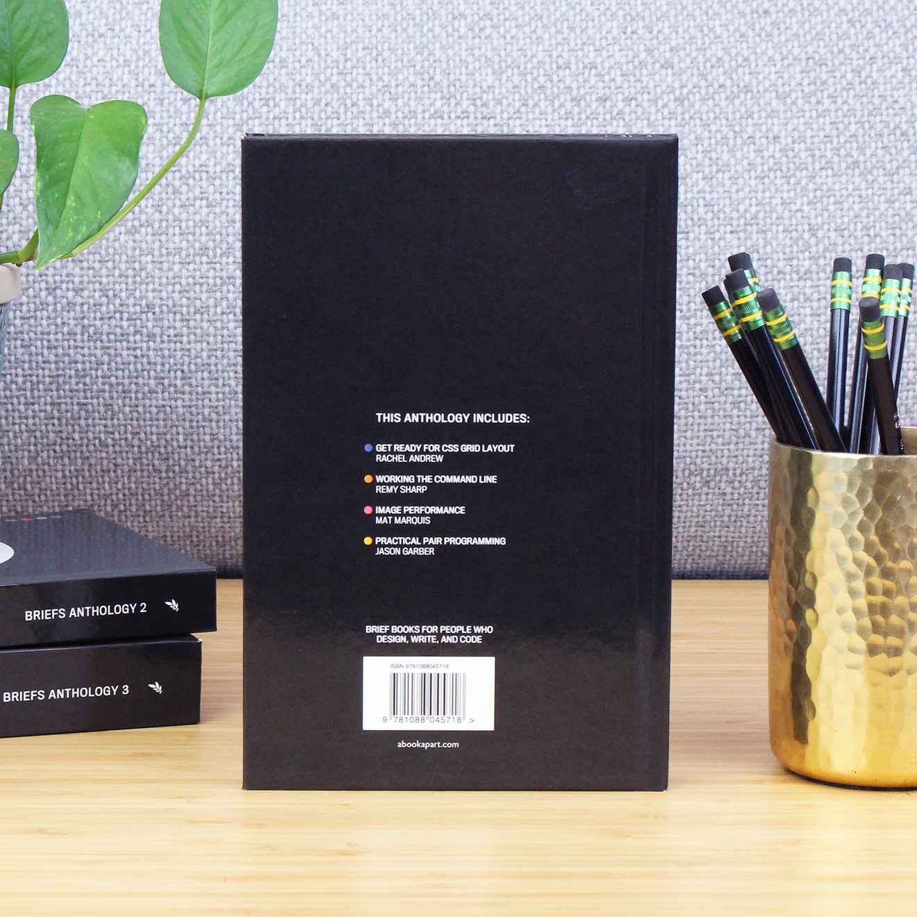 Briefs Anthology 1: Development